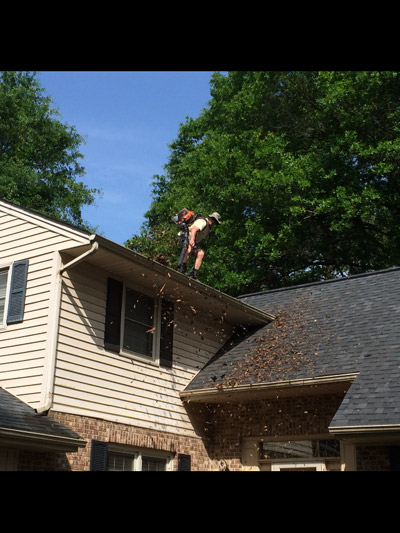 gutter-cleaning-during